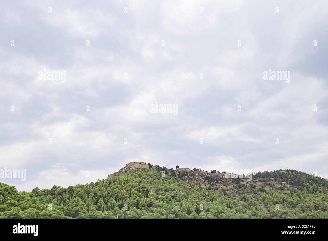 Minimal Greenery nature Stock Photo - Alamy