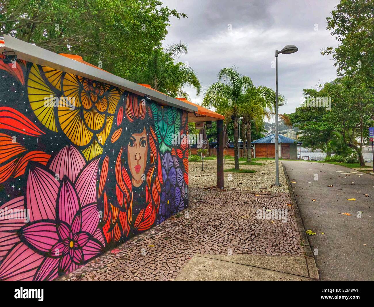 Graffiti Art of Brazil | A brief pause from all the wildl