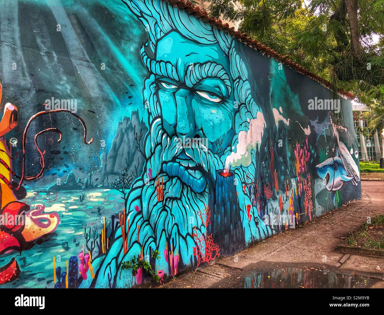 Aquatic themed street mural in Rio de Janeiro, Brazil. - Smartphone Captured Stock Image