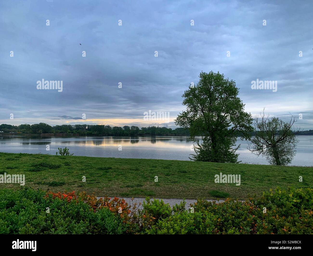 Morning on Mantua lakes. Italy. Stock Photo