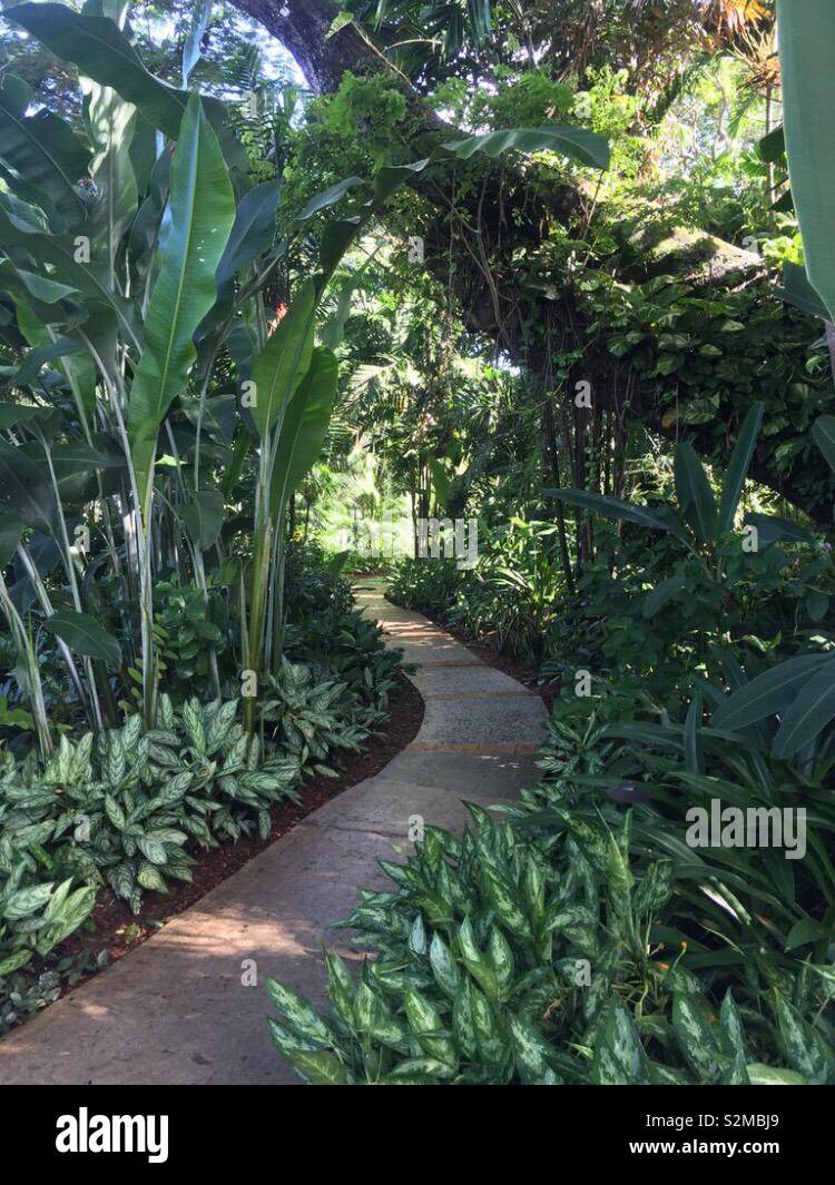 Tropical Garden Path Stock Photo Alamy