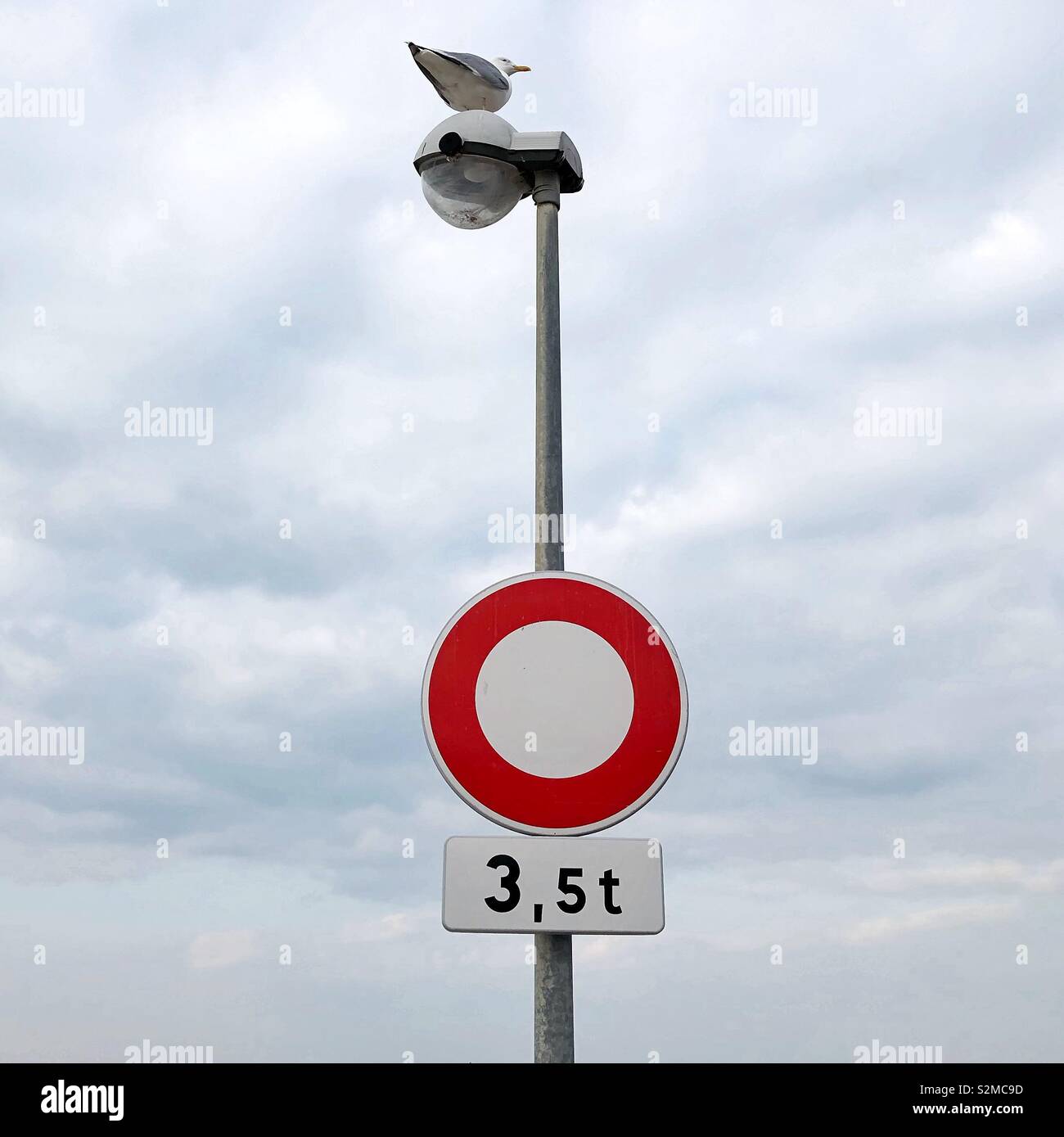Seagull perched on top of a lamppost with a vehicle restriction traffic sign. - Smartphone Captured Stock Image