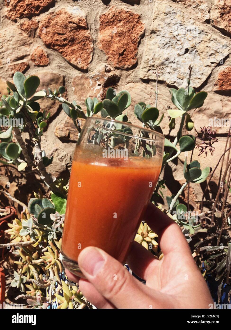 Spanish refreshment drink Gazpacho - Smartphone Captured Stock Image