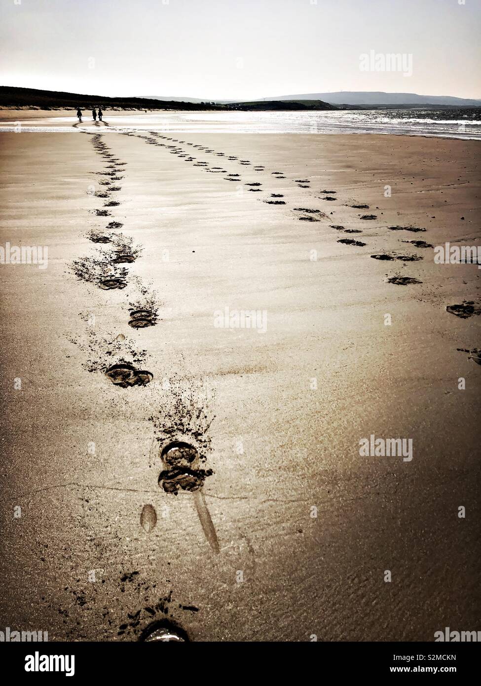 Sand Tracks Photograph Washington Coast Print
