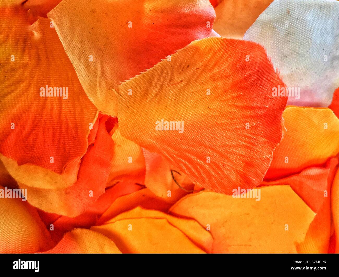 Orange petals hi-res stock photography and images - Alamy