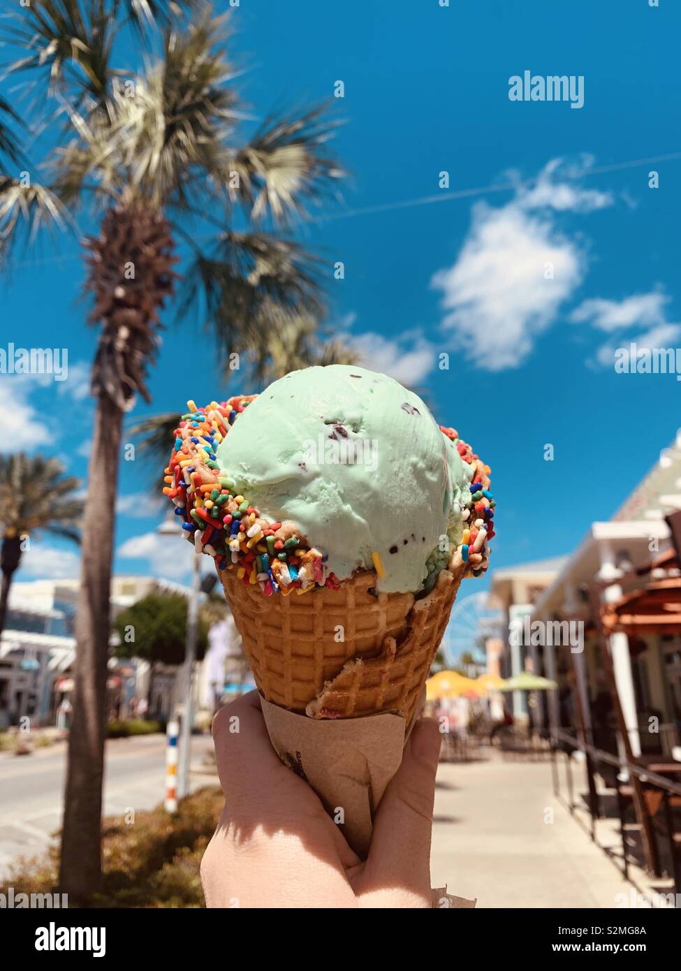 Mint choc chip ice cream in waffle cone with sprinkles against palm