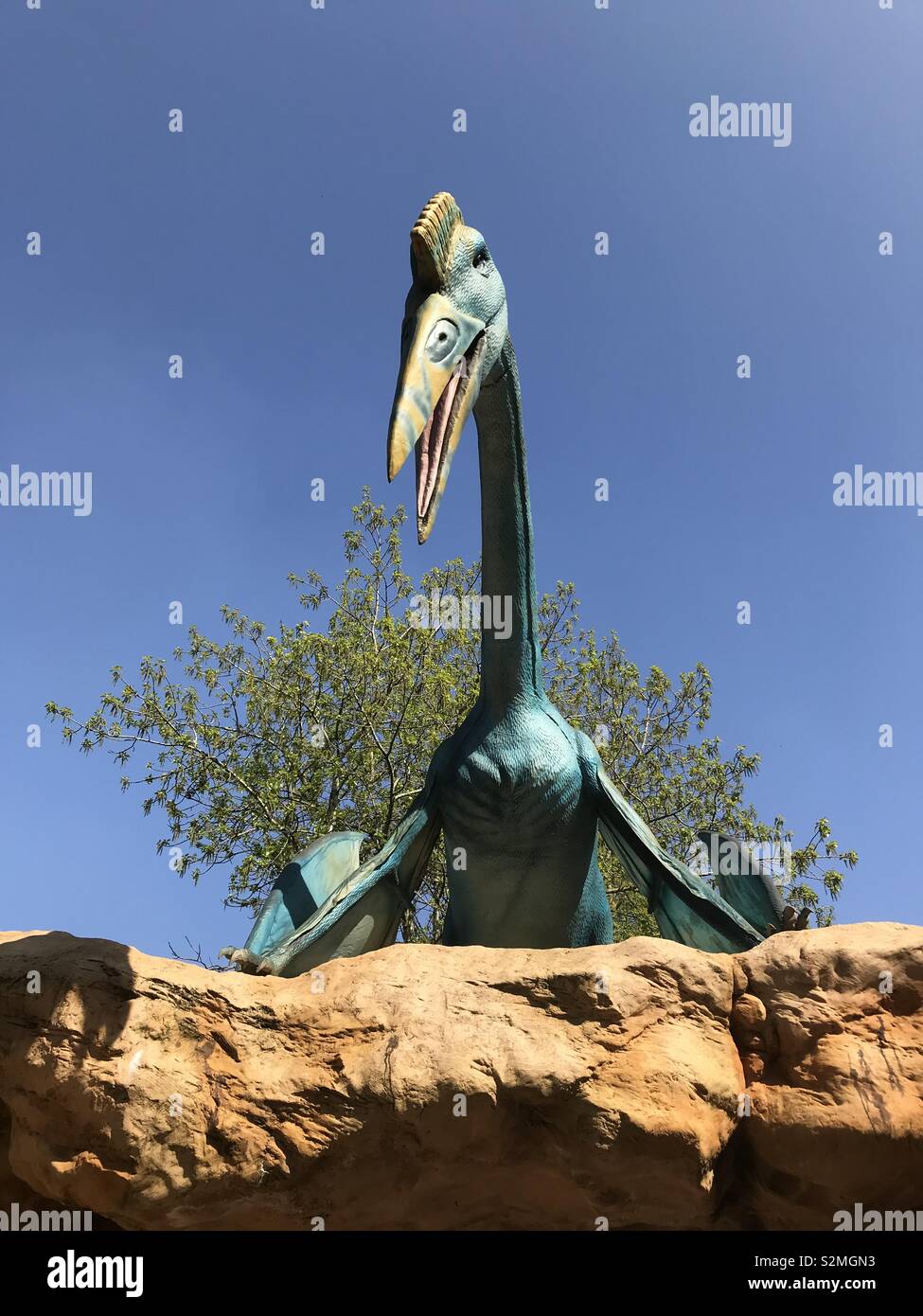 Pterodactyl, Illustration - Stock Image - C027/4502 - Science Photo Library