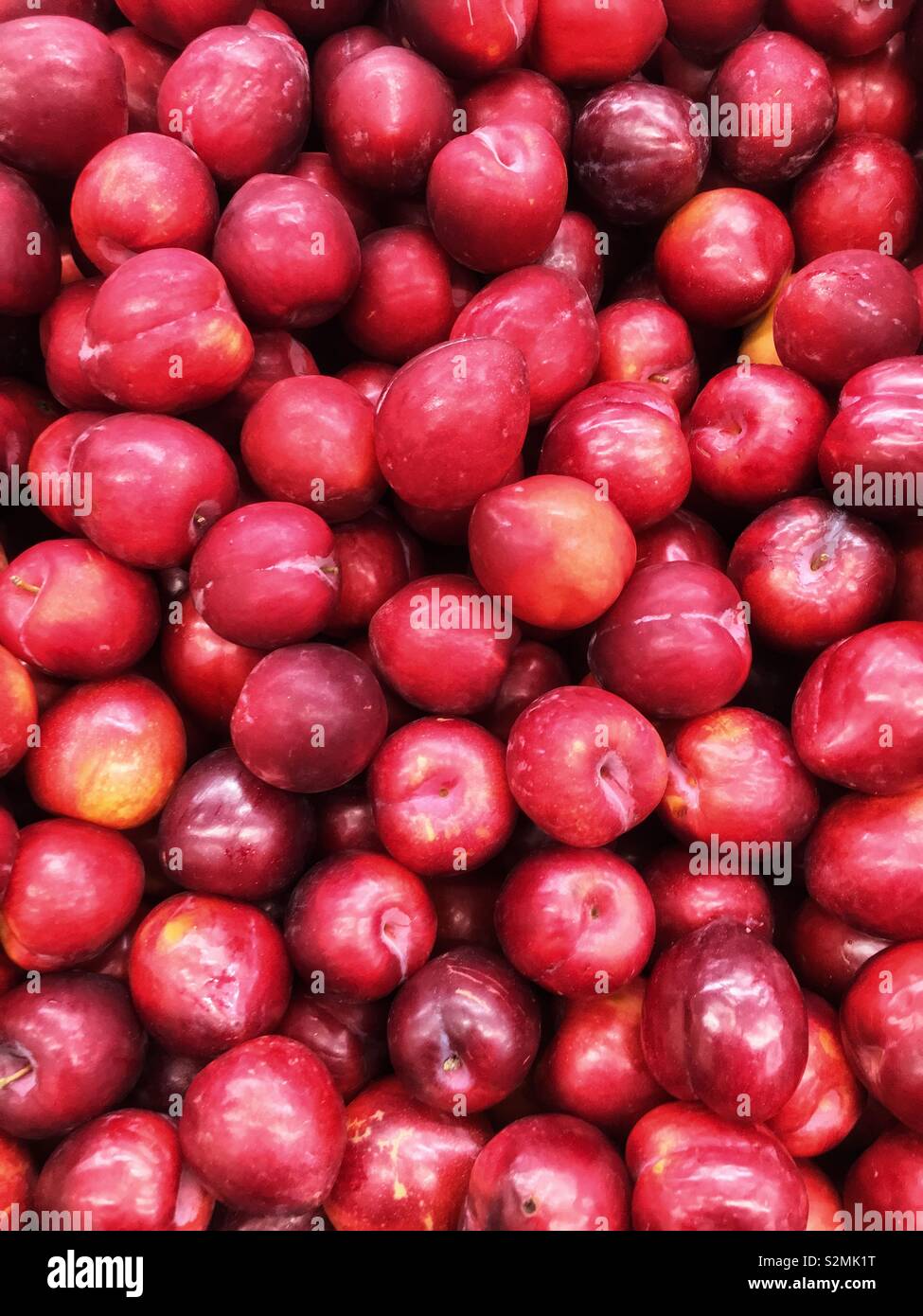 Full frame of fresh delicious ripe red plums on display and for sale at the local produce market. - Smartphone Captured Stock Image