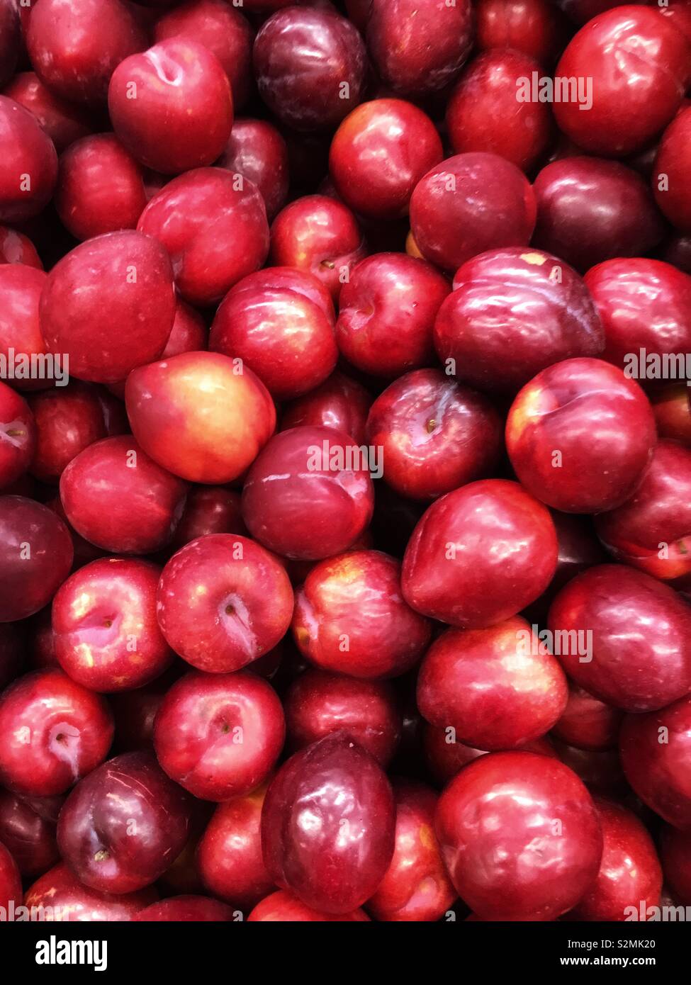 Full frame of fresh delicious ripe red plums on display and for sale at the local produce market. - Smartphone Captured Stock Image