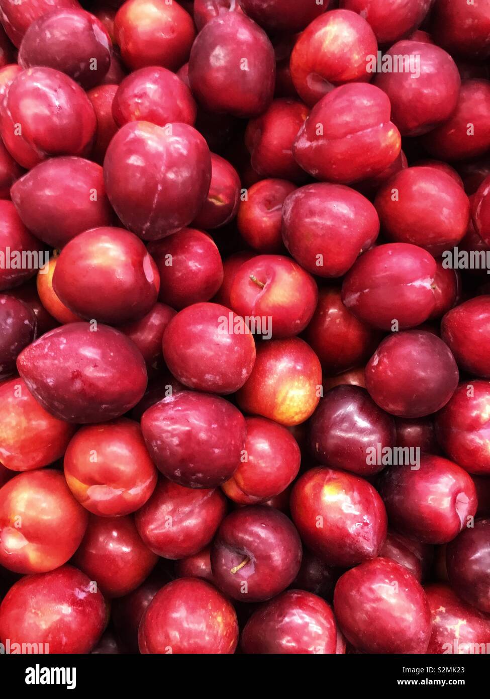 Full frame of fresh delicious ripe red plums on display and for sale at the local produce market. - Smartphone Captured Stock Image