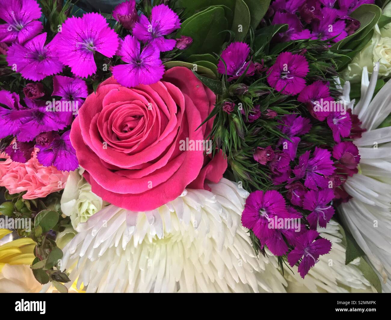Beautiful spring bouquet of fresh flowers featuring a red rose. - Smartphone Captured Stock Image