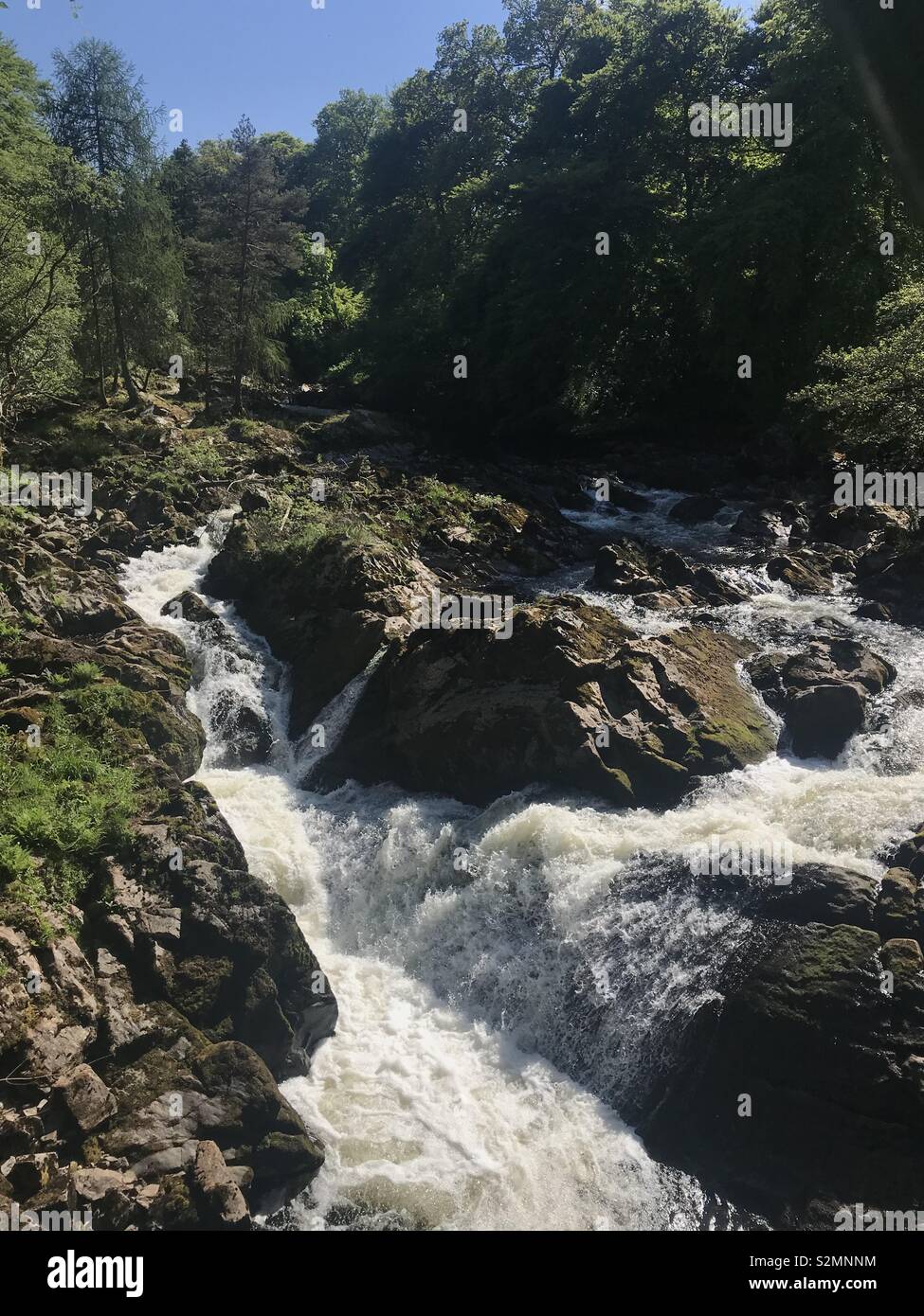 Waterfall in Scotland summer 2018 - falls of feugh Stock Photo