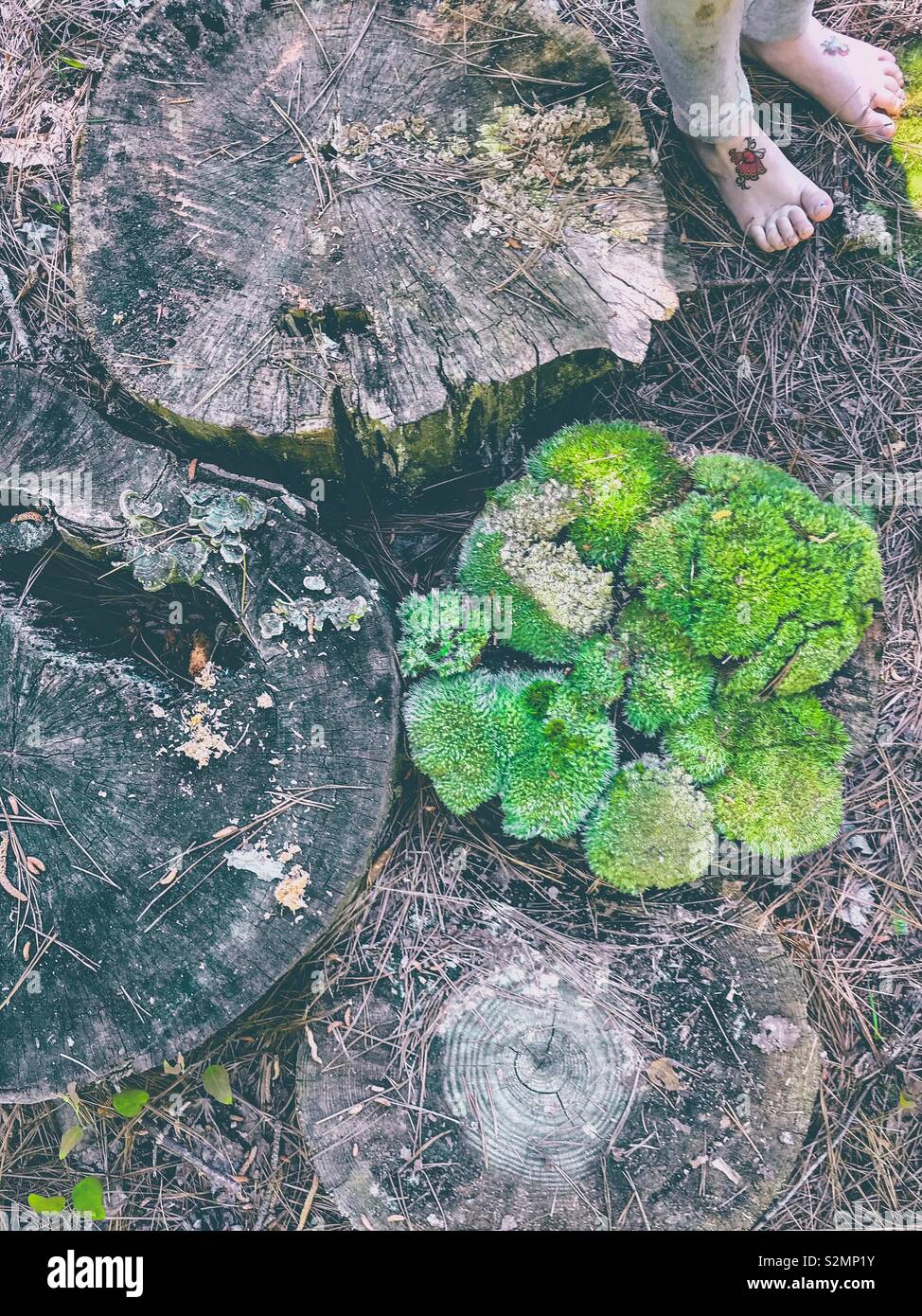 Toddler feet with “tattoos” stand near tree stumps, one with green moss on it - Smartphone Captured Stock Image