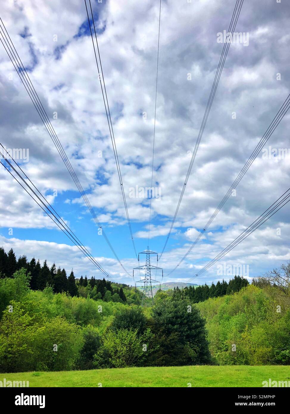 Power lines over mixed woodland and countryside. - Smartphone Captured Stock Image
