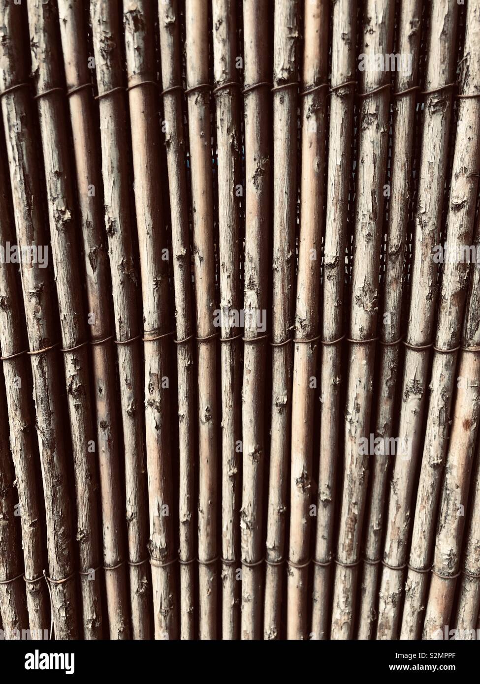 Bamboo screen sit ace pattern background - Smartphone Captured Stock Image