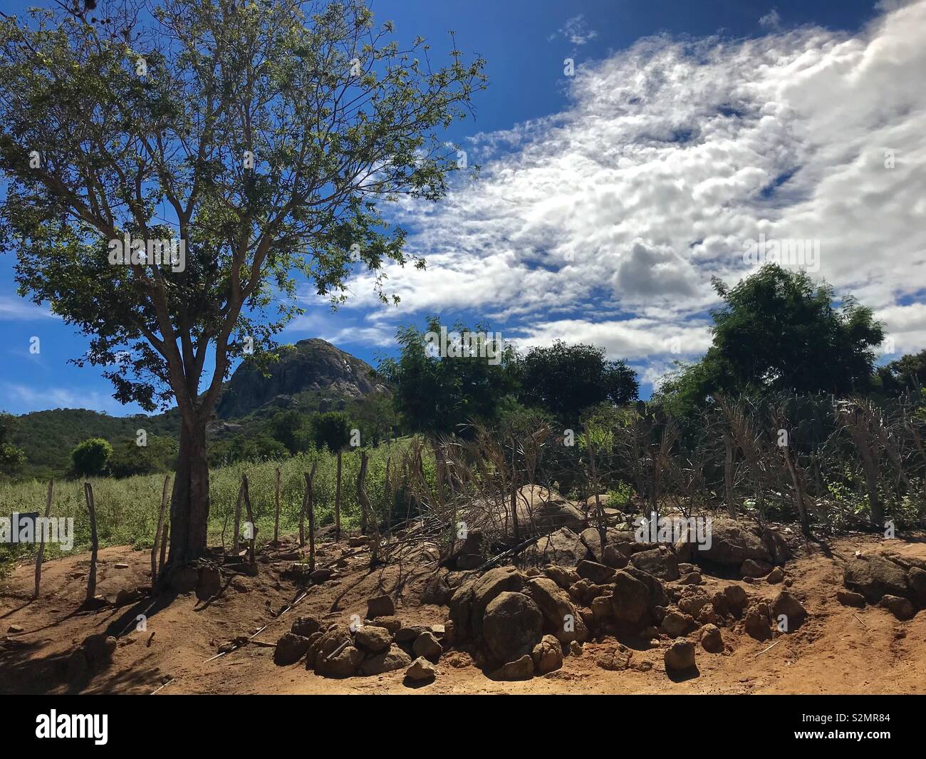 Sertao Brasileiro Stock Photo Alamy