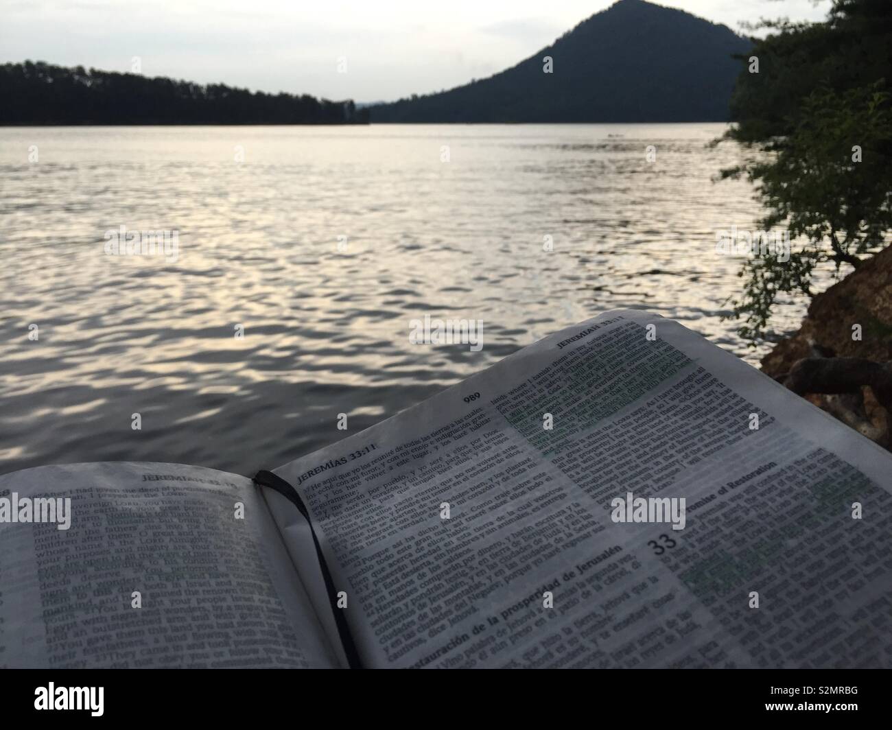 Scripture in nature Stock Photo