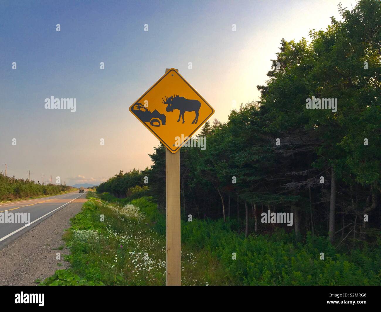 funny moose road sign