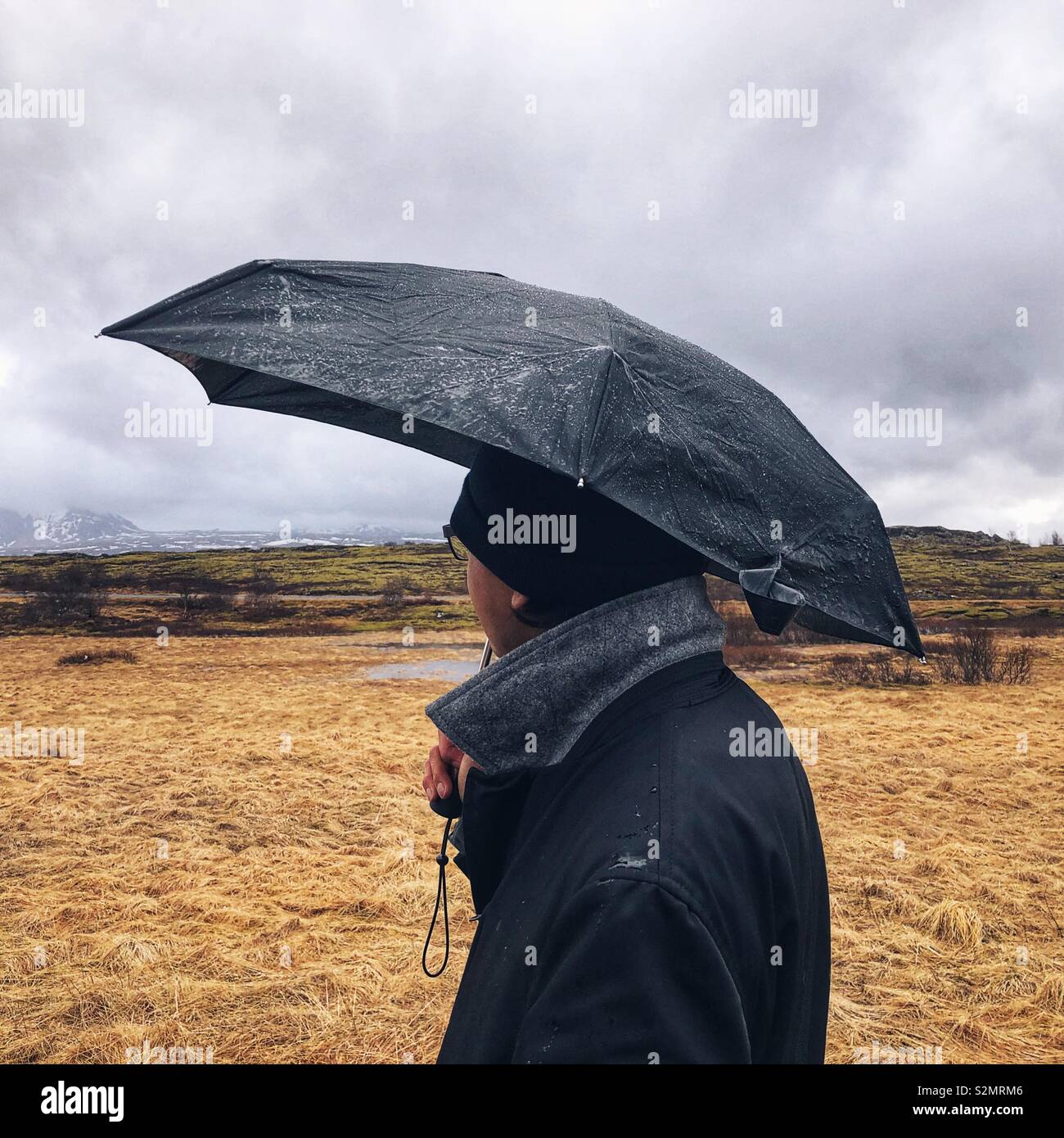 Looking at birthplace of Icelandic parliament in Pingvellir - Smartphone Captured Stock Image