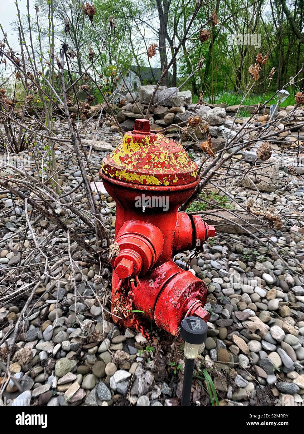 Old Fire Hydrant Used As A Garden Decoration You Can See The