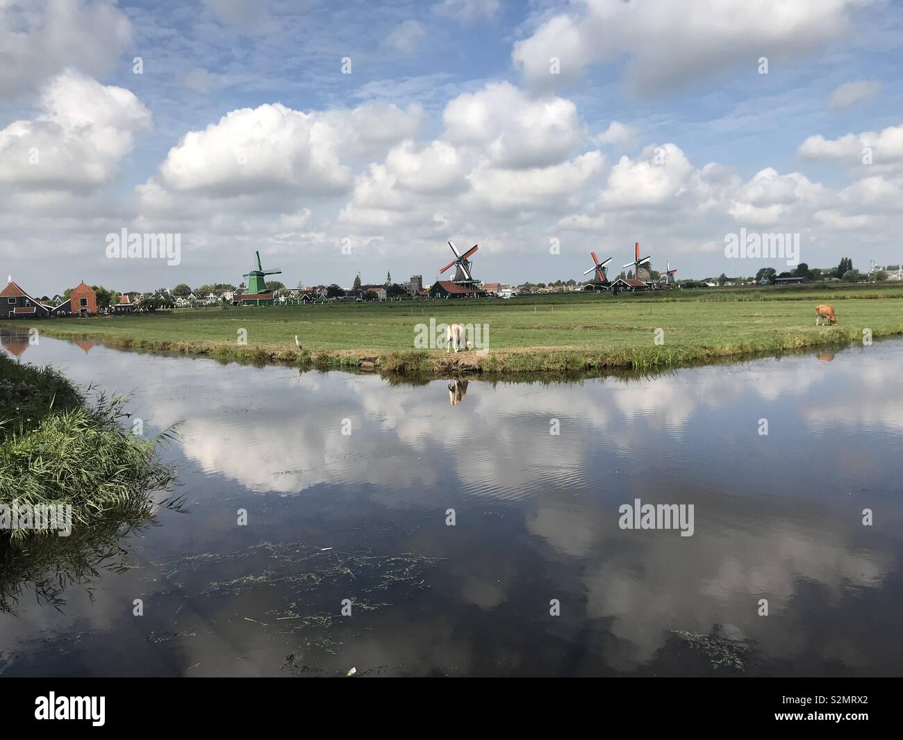 Holland painting hi-res stock photography and images - Alamy