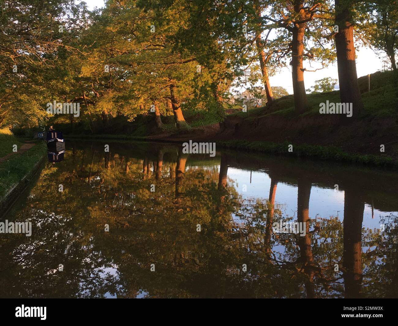 Trees reflected on a canal - Smartphone Captured Stock Image