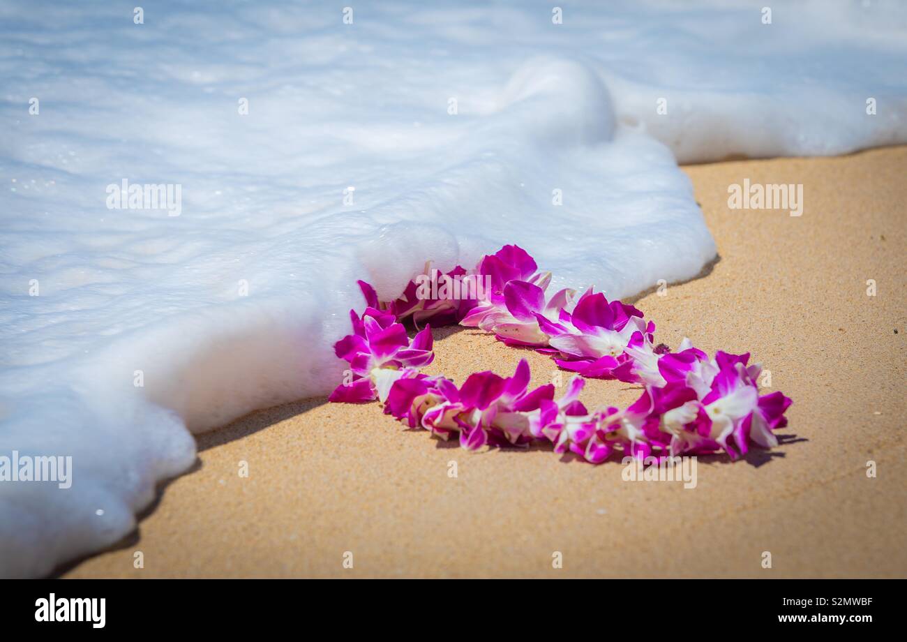 Lei in the surf on the beach Stock Photo
