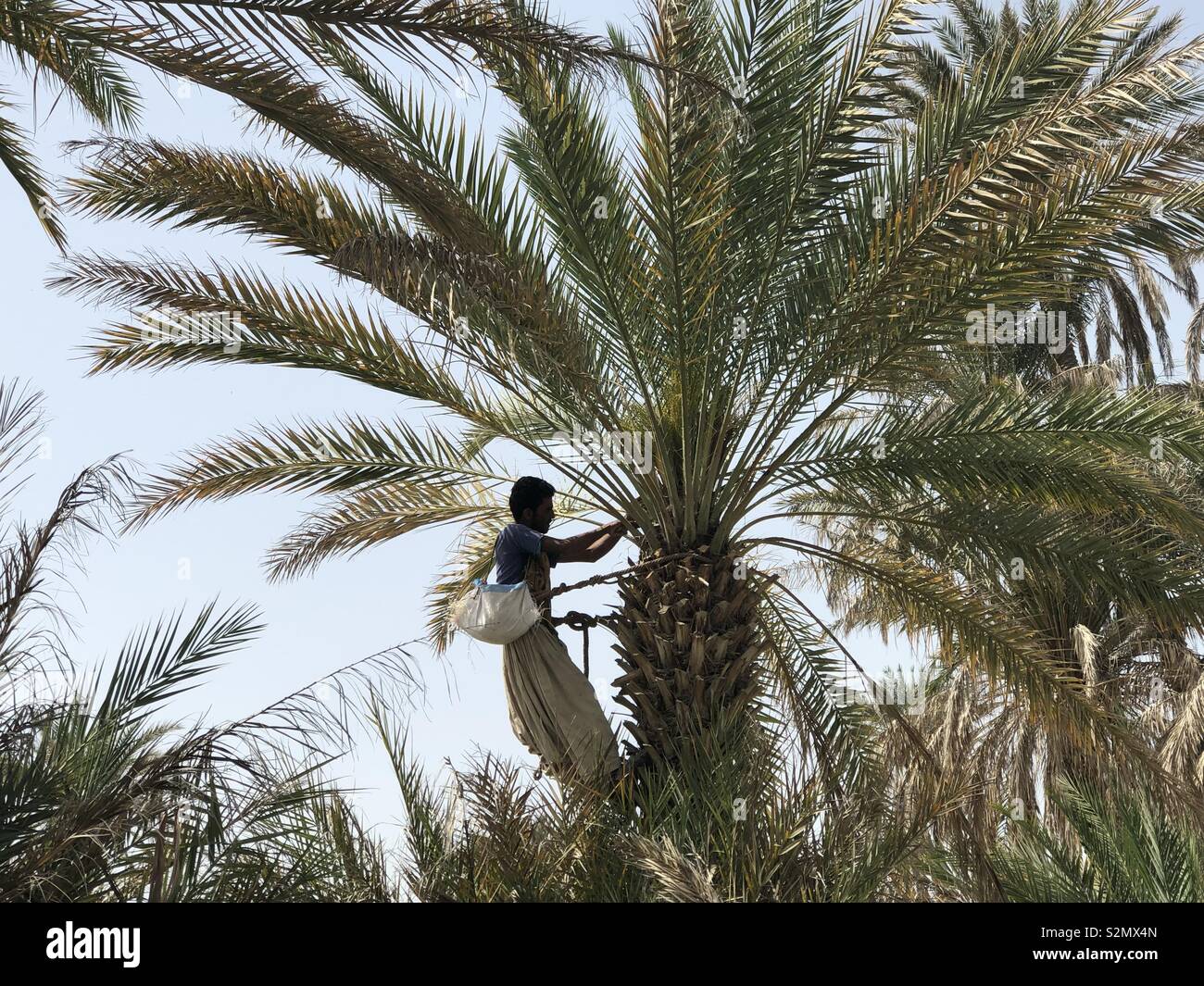 Baloch people hires stock photography and images Alamy