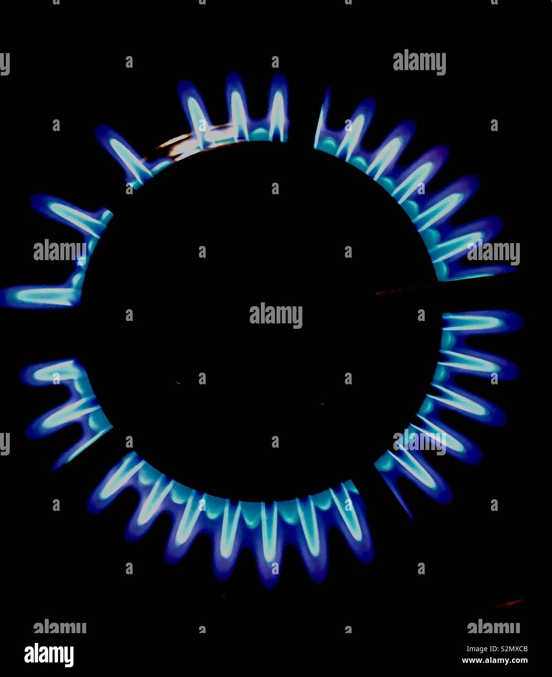 Gas burner with blue flames Stock Photo Alamy