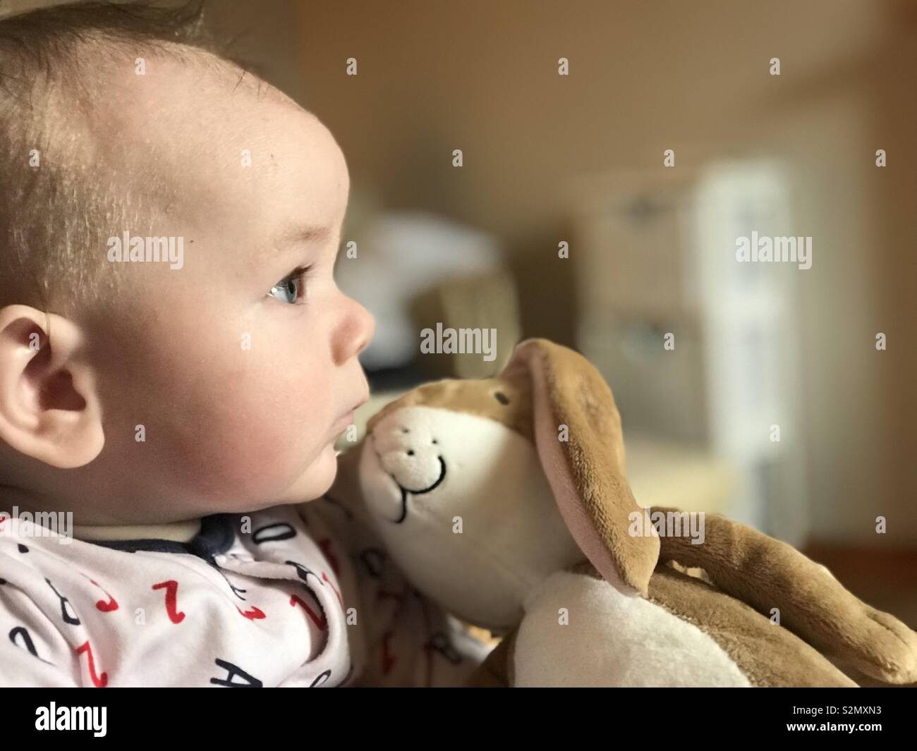 Cuddle With Toy Rabbit Cuddle cuddling hi-res stock photography and images - Alamy