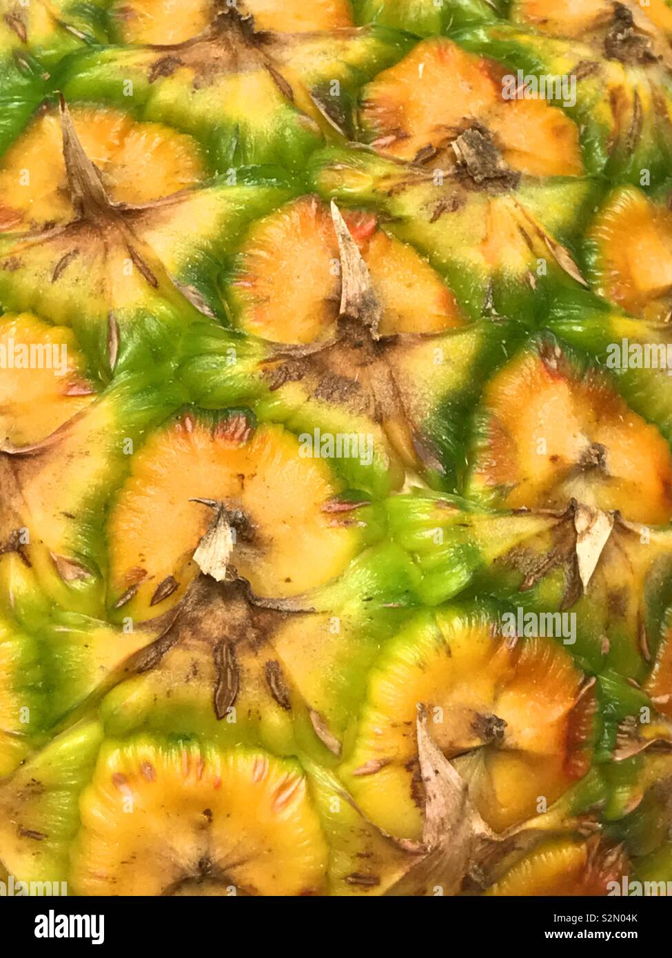 Pinneapple skin - Smartphone Captured Stock Image