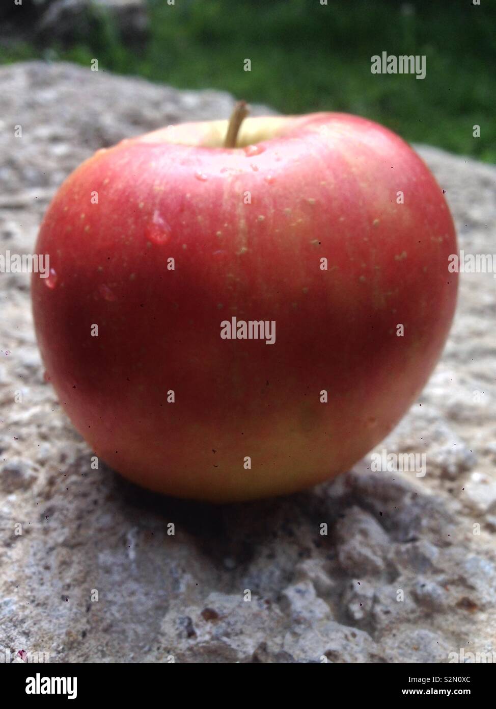 Red tasty apple Stock Photo