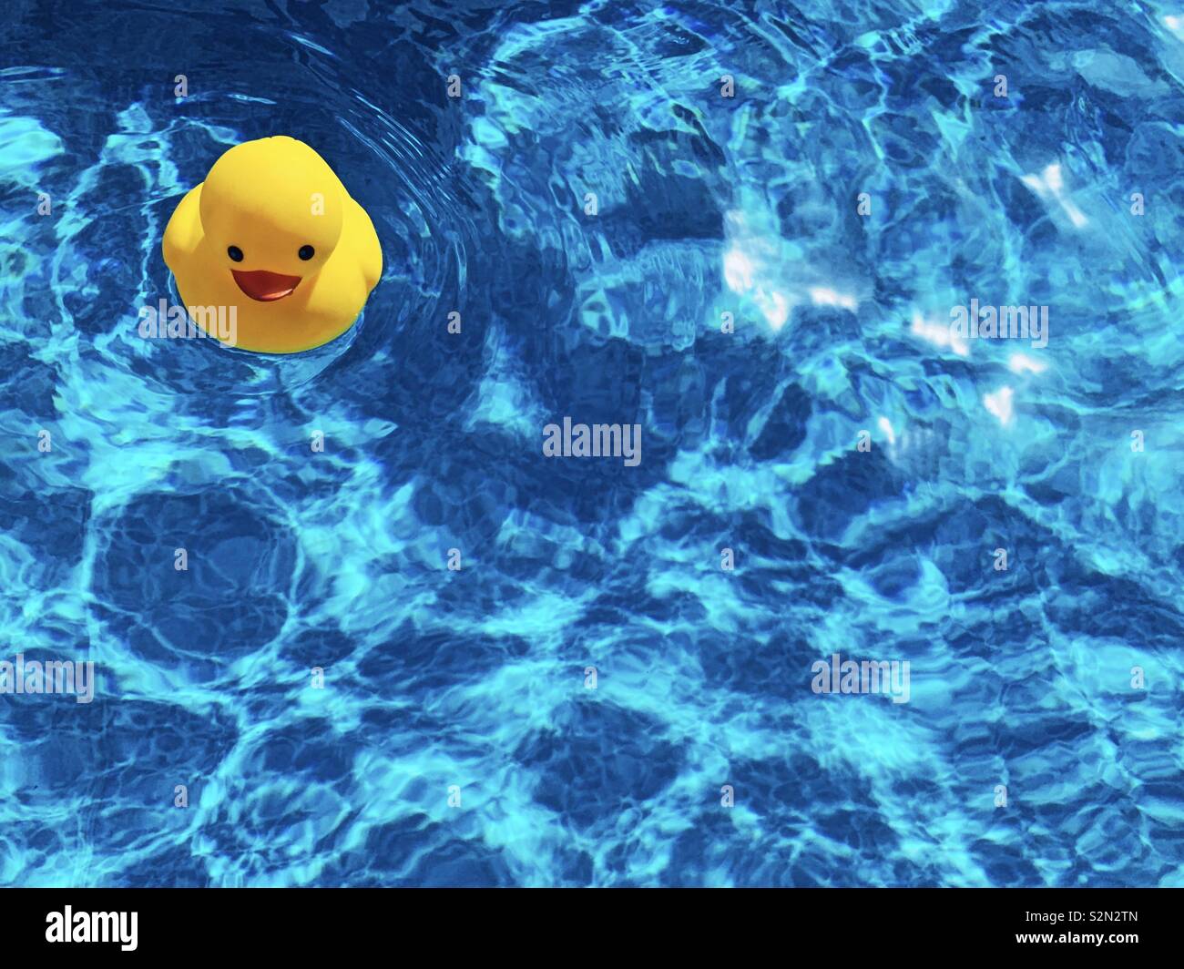 Yellow rubber ducky floating on blue clear water on a sunny hot day. Stock Photo