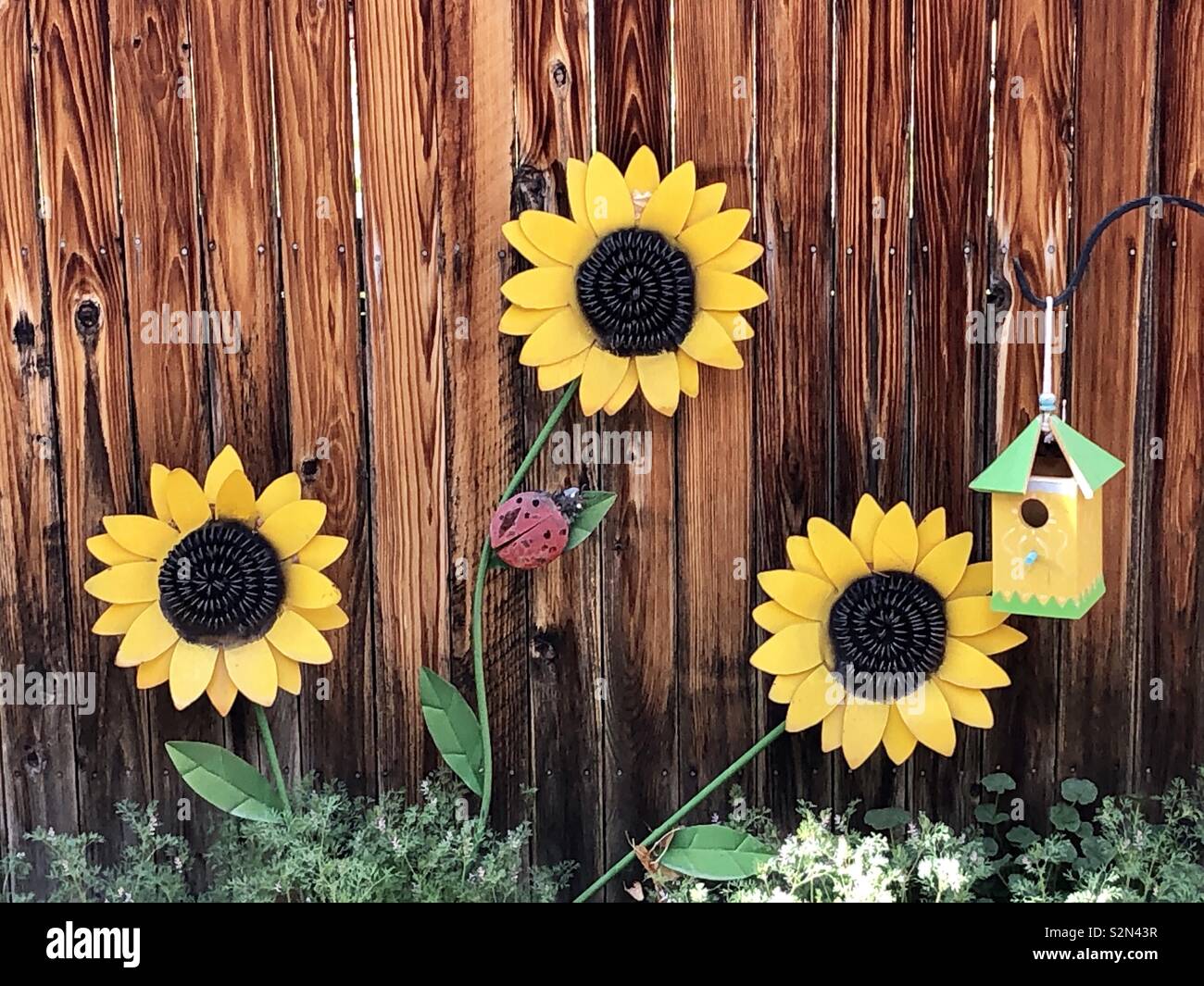 Backyard Garden Fence And Decorative Flowers Stock Photo