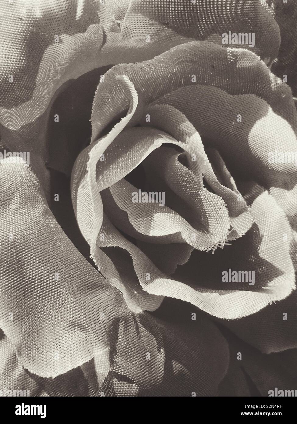 Full frame of a black and white plastic flower in full bloom. - Smartphone Captured Stock Image