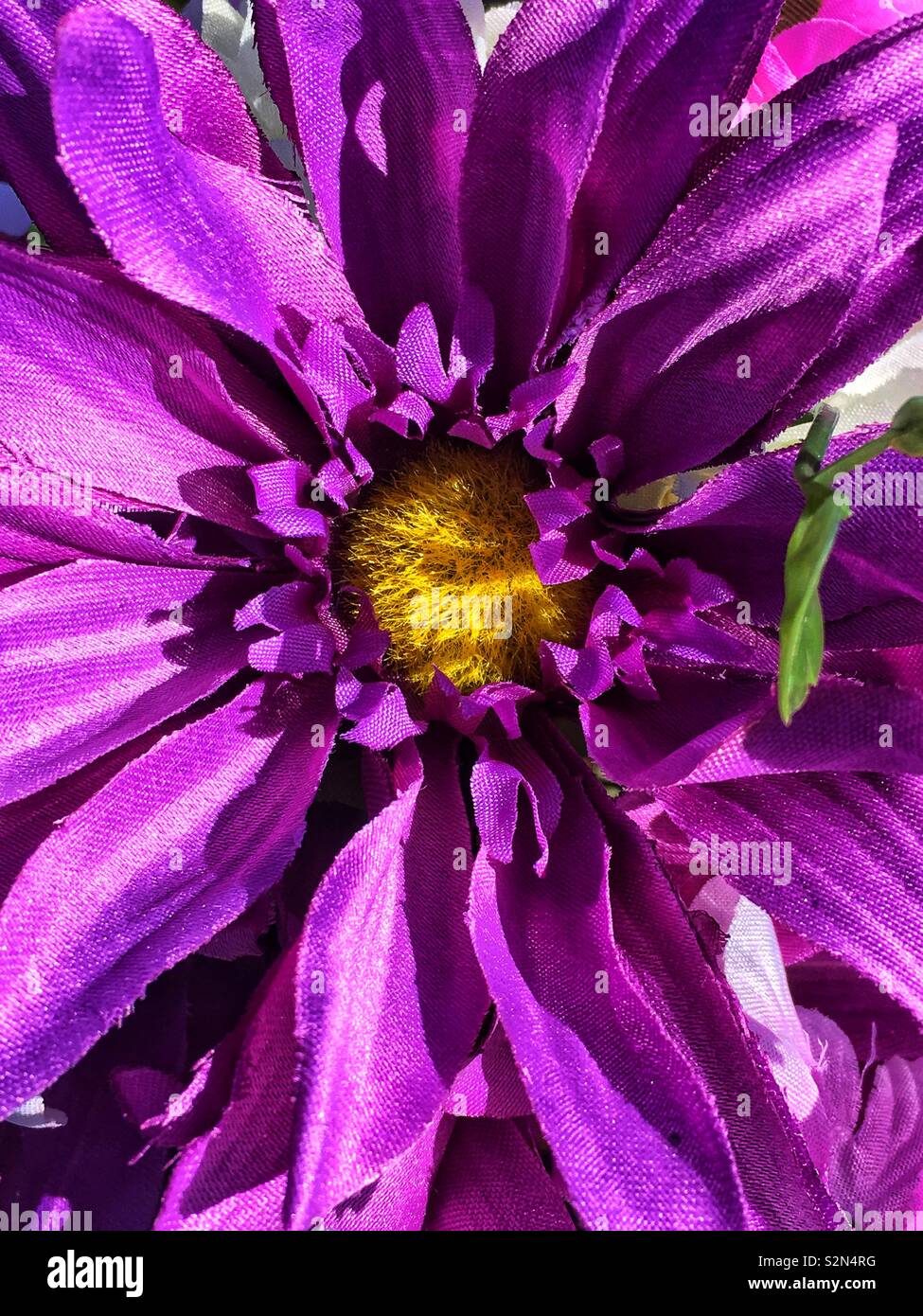 Full frame of a purple plastic flower in full bloom. Stock Photo