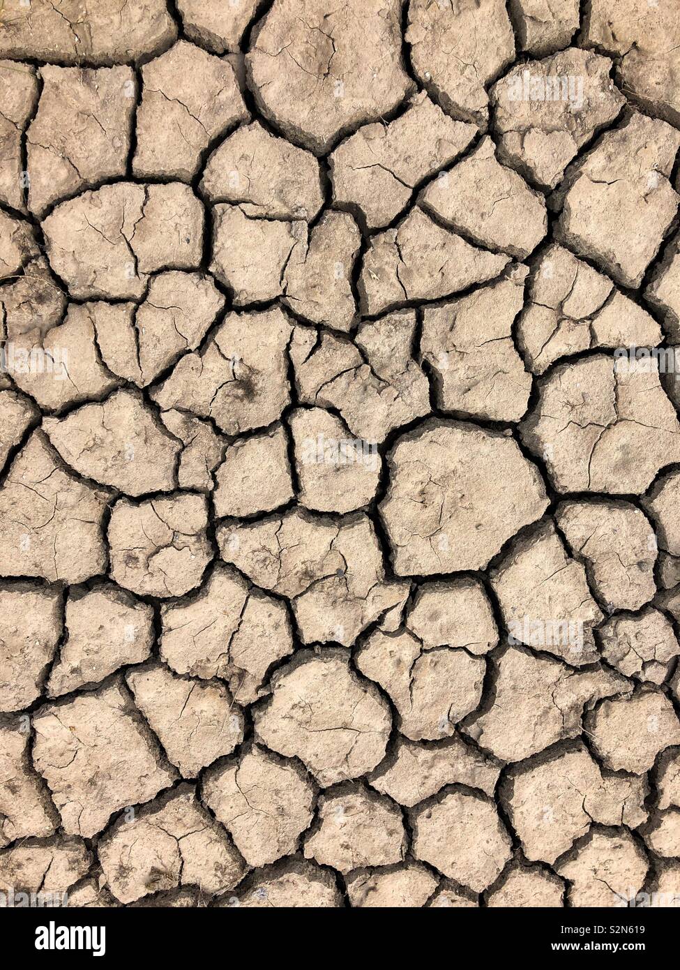 Dried out cracked mud. - Smartphone Captured Stock Image