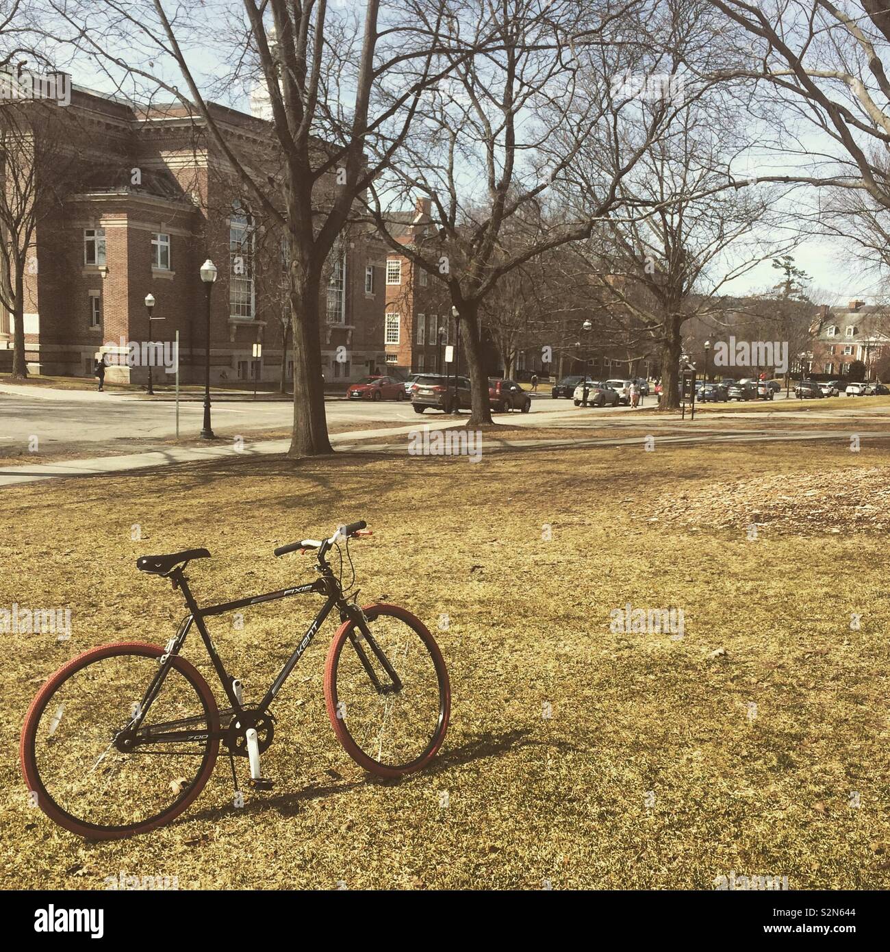 Bicycle with red wheels parked on a college campus - Smartphone Captured Stock Image