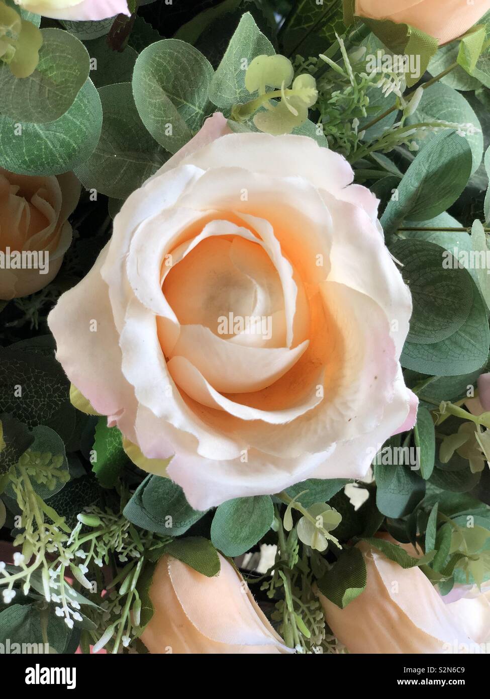 Rosas E Flores Para Uma Vida Mais Que Especial Ou Para Se Apaixonar E Viver Uma Vida Cheia De Romantismo E Emocoes Stock Photo Alamy