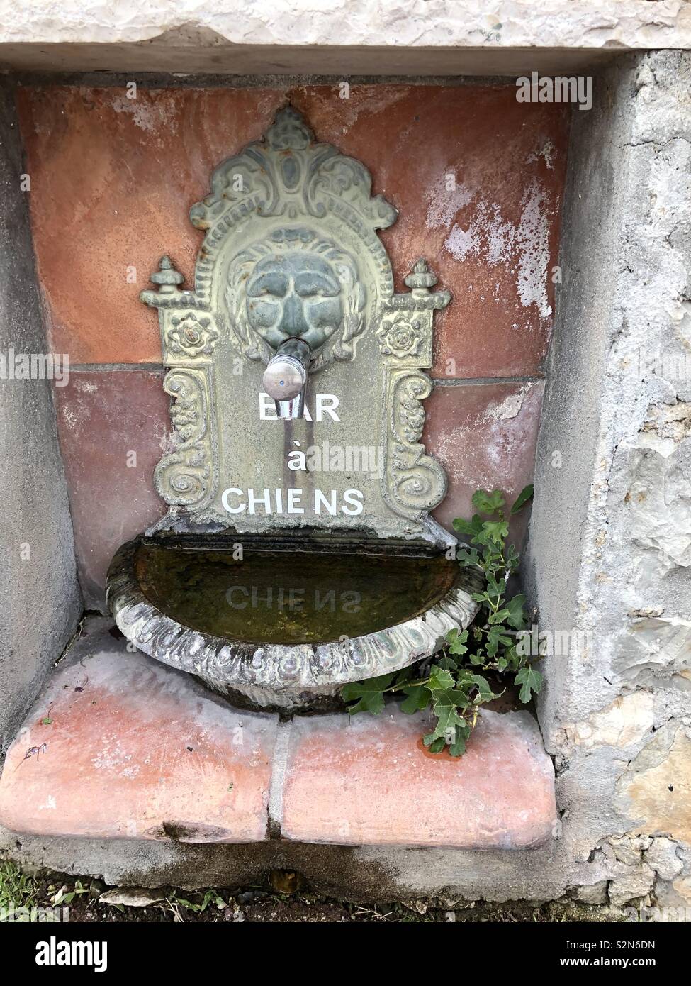 A decorative Victorian  / Empire style public drinking fountain with a Lions face, by the seafront of Cap Ferrat France with the inscription ‘Not for Dogs’ ‘Bar a Chiens’ - Smartphone Captured Stock Image