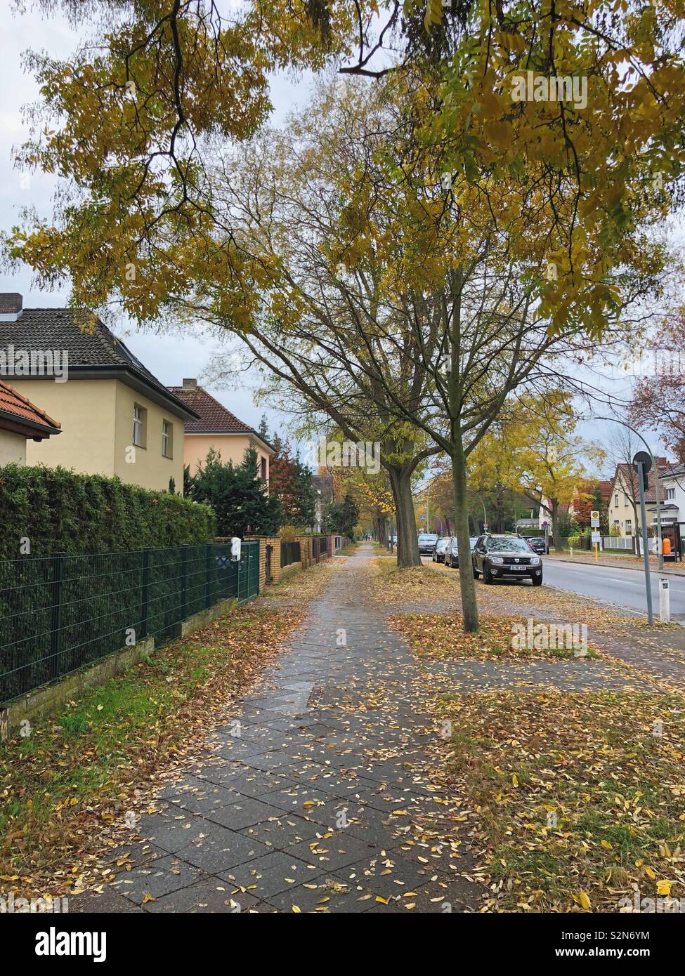 Street sidewalk autumn hi-res stock photography and images - Alamy