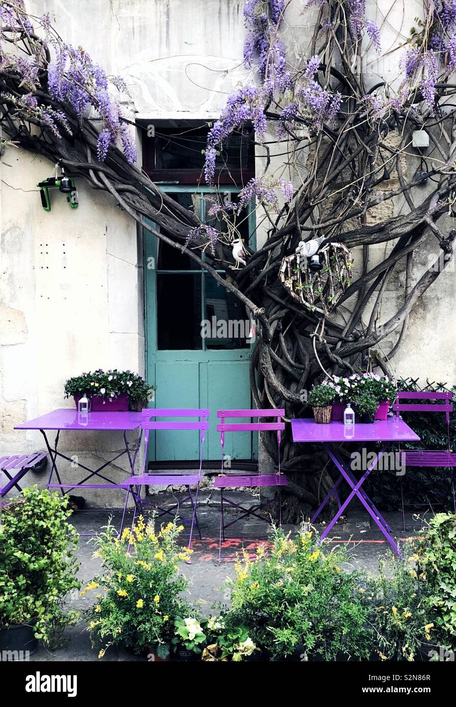 Old twisted wisteria climbs on the wall in Paris Stock Photo