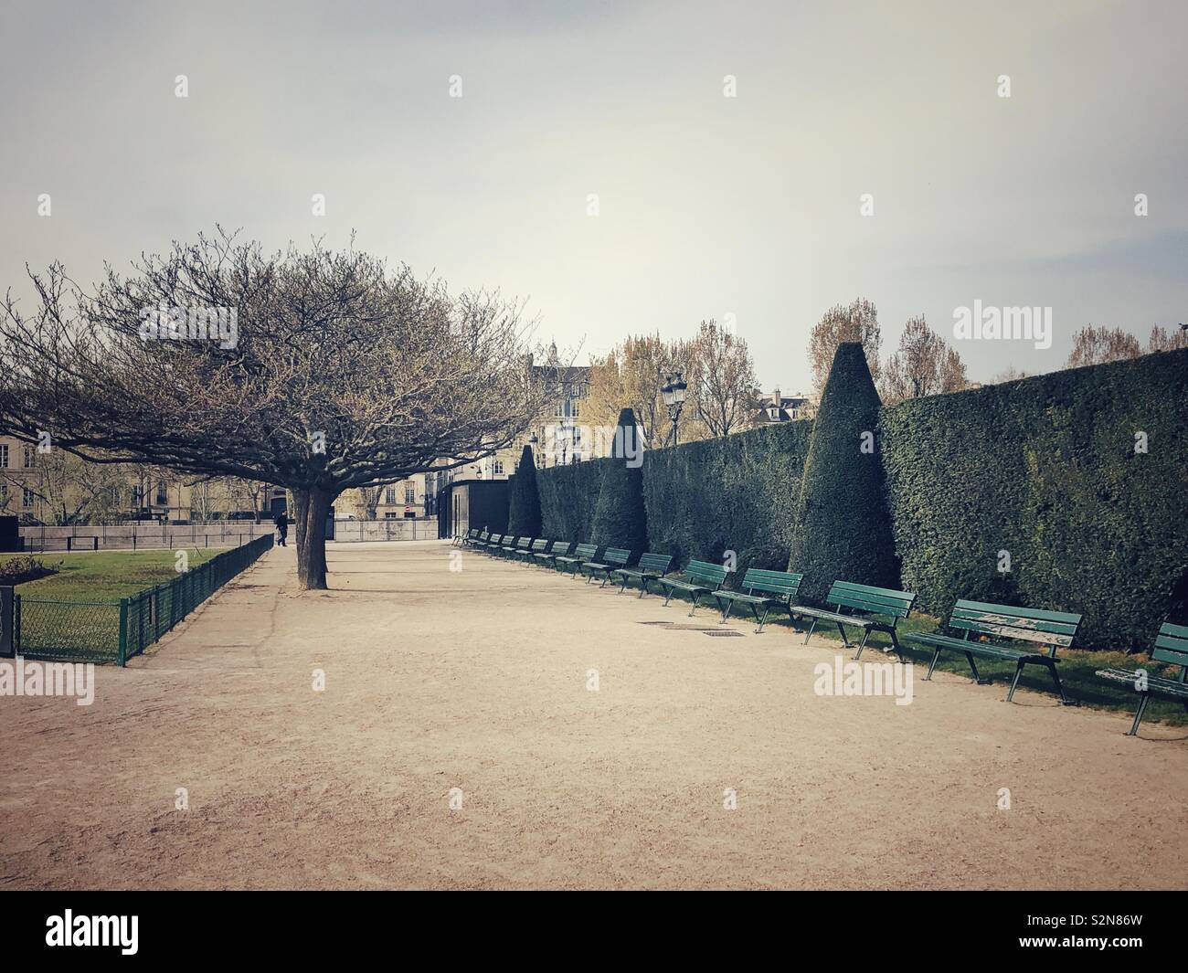 Garden behind Notre Dame cathedral in Paris - Smartphone Captured Stock Image