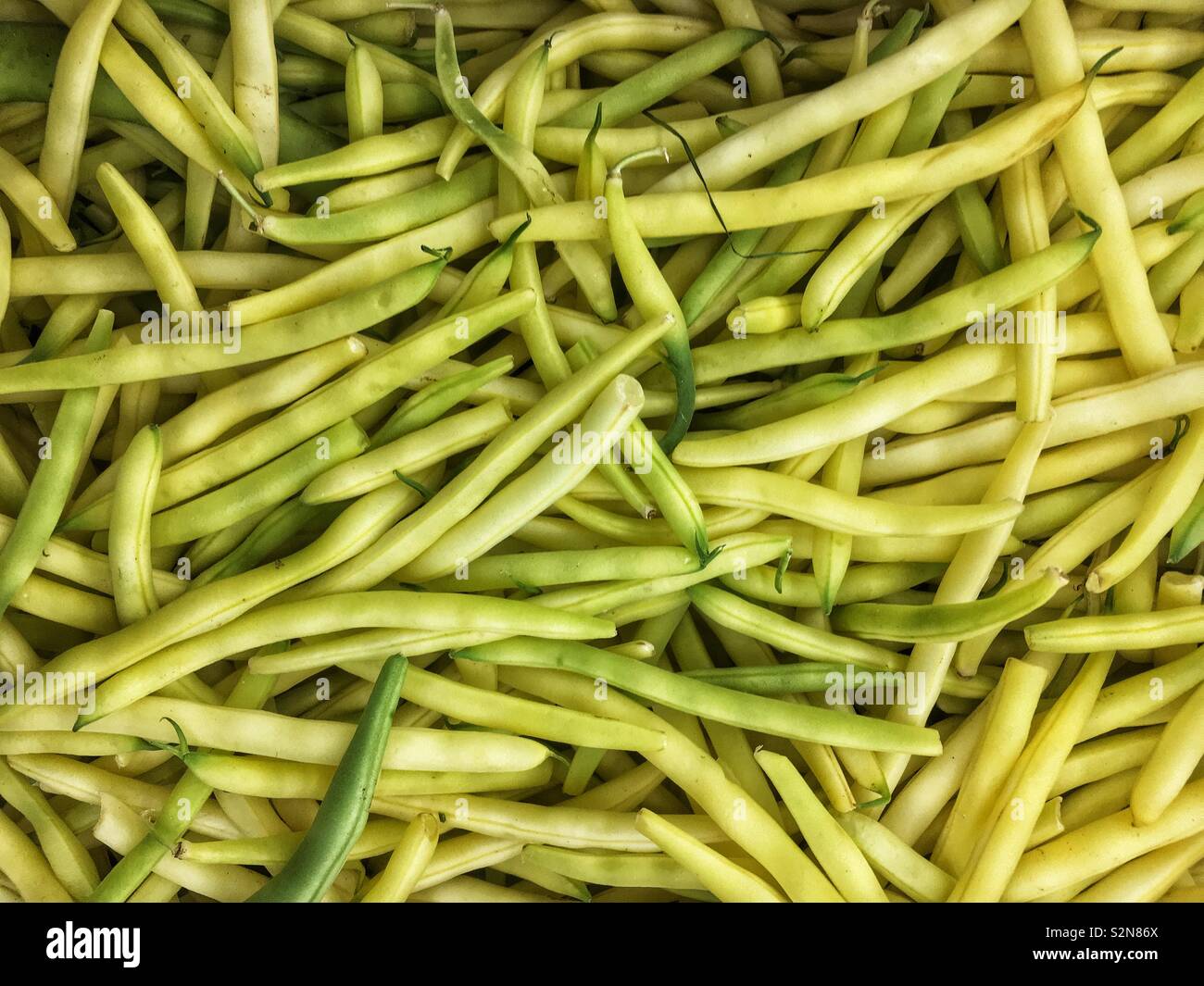 Pile of fresh delicious wax beans at the produce market. - Smartphone Captured Stock Image