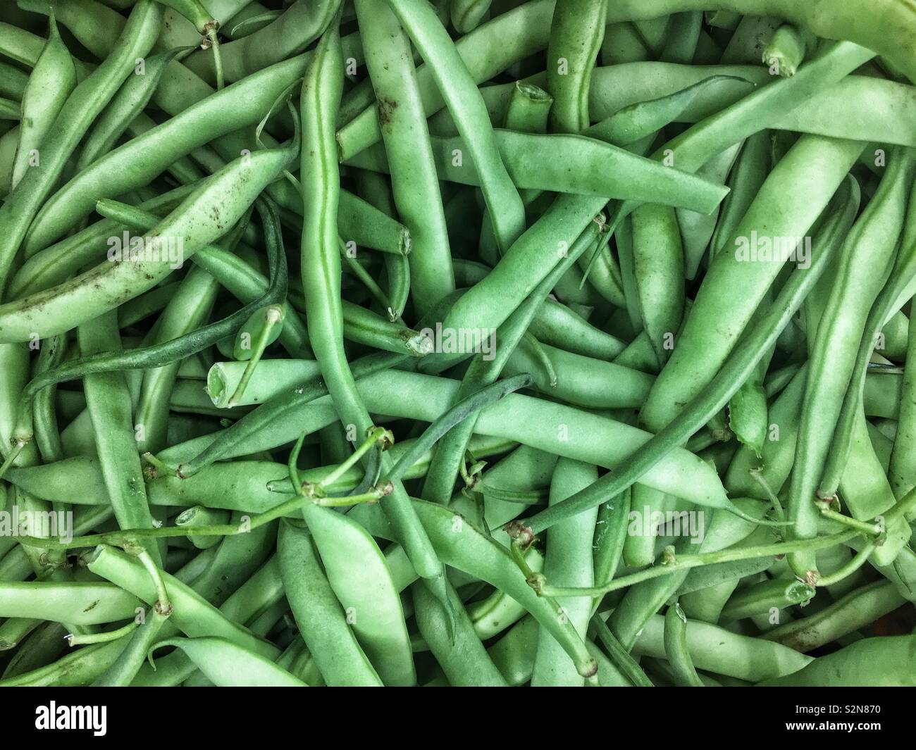 Pole beans hires stock photography and images Alamy