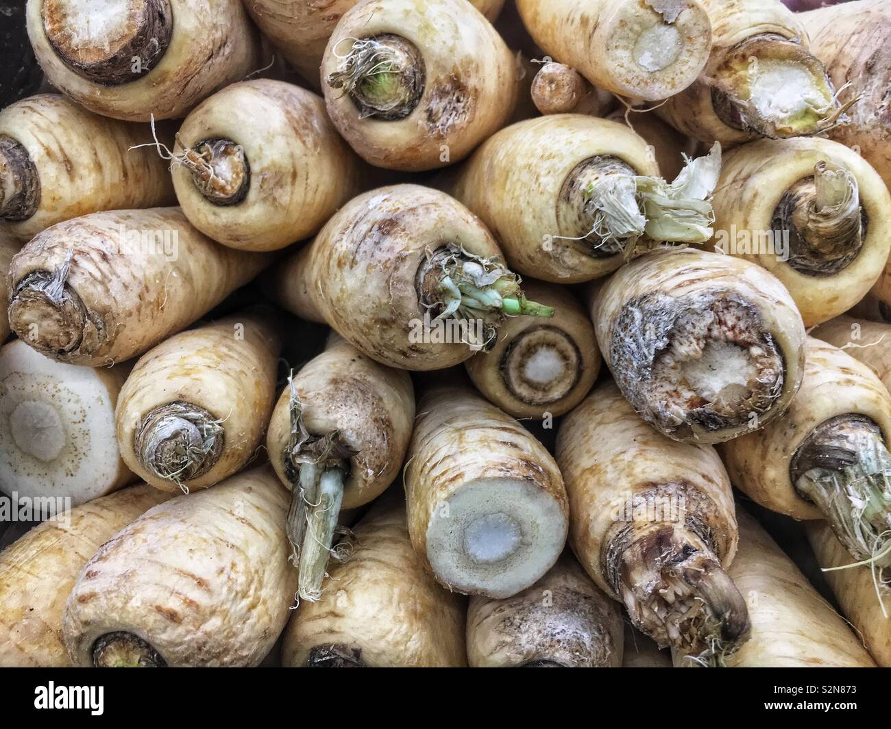 Many parsnips hi-res stock photography and images - Alamy