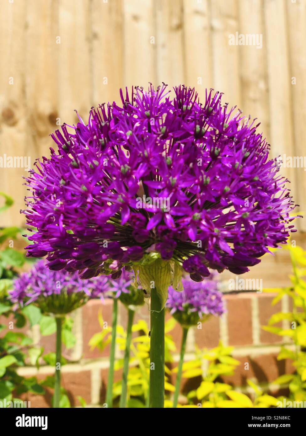 Spring has sprung in the UK Stock Photo Alamy
