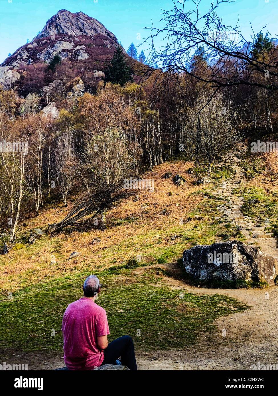 Looking up at the peak of Ben Aa’n in the Trossachs, 1512 feet.  Scotland. UK - Smartphone Captured Stock Image