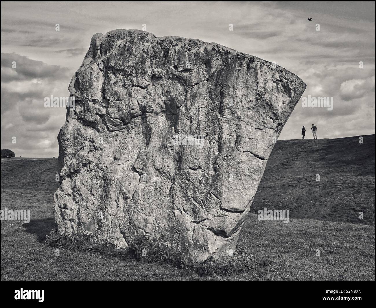 One of the large Standing Stones that forms the inner circle in the SE Section of the Avebury Stone Circle in Wiltshire, England. This stone forms part of the World’s Largest Stone Circle. © C.HOSKINS - Smartphone Captured Stock Image