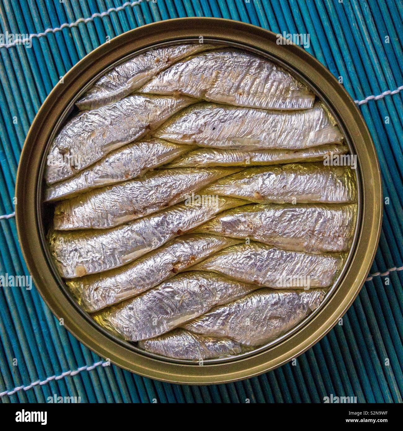Open can of brisling. Also known as the European sprat, bristling